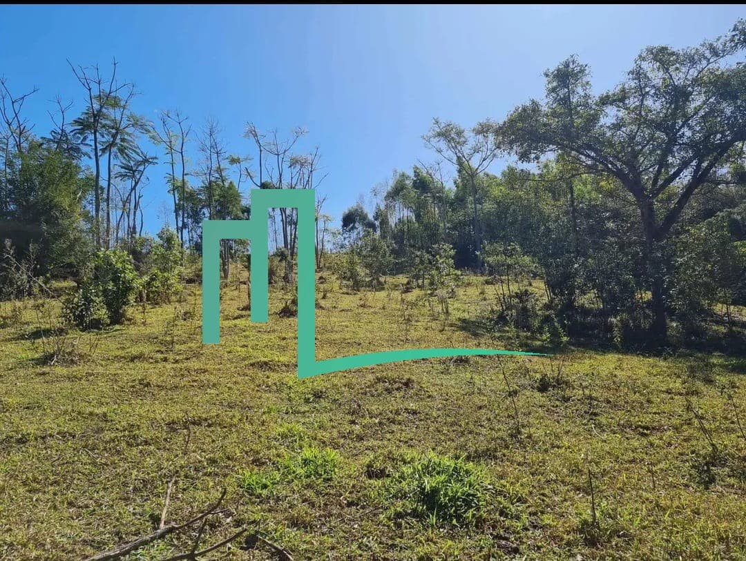 EXCELENTE OPORTUNIDADE SÍTIO Á VENDA EM CAPETINGA/MG   - 02 alqueires - Sitio á 10 KM de Capetinga  - 1,5 KM  da estrada