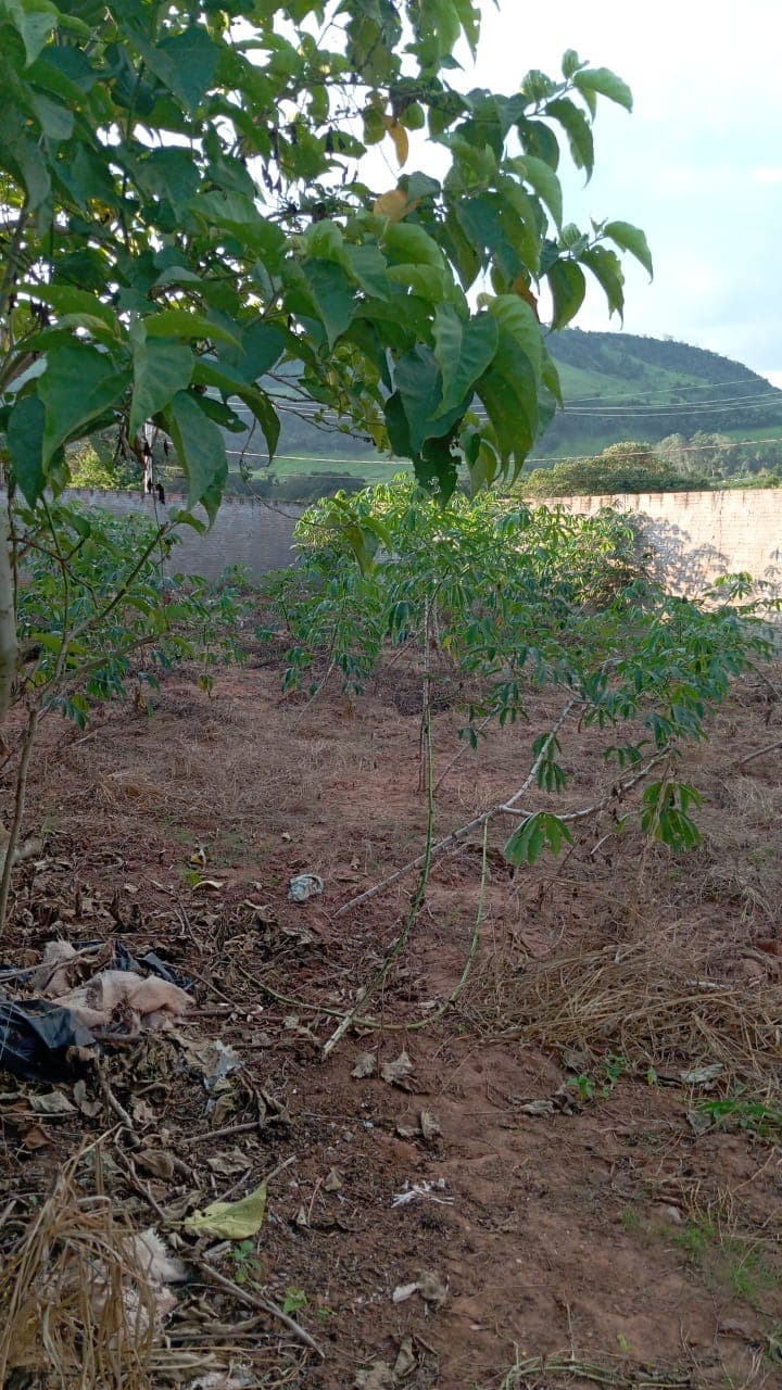 Terreno - MONTE VERDE - CAPETINGA TR00374