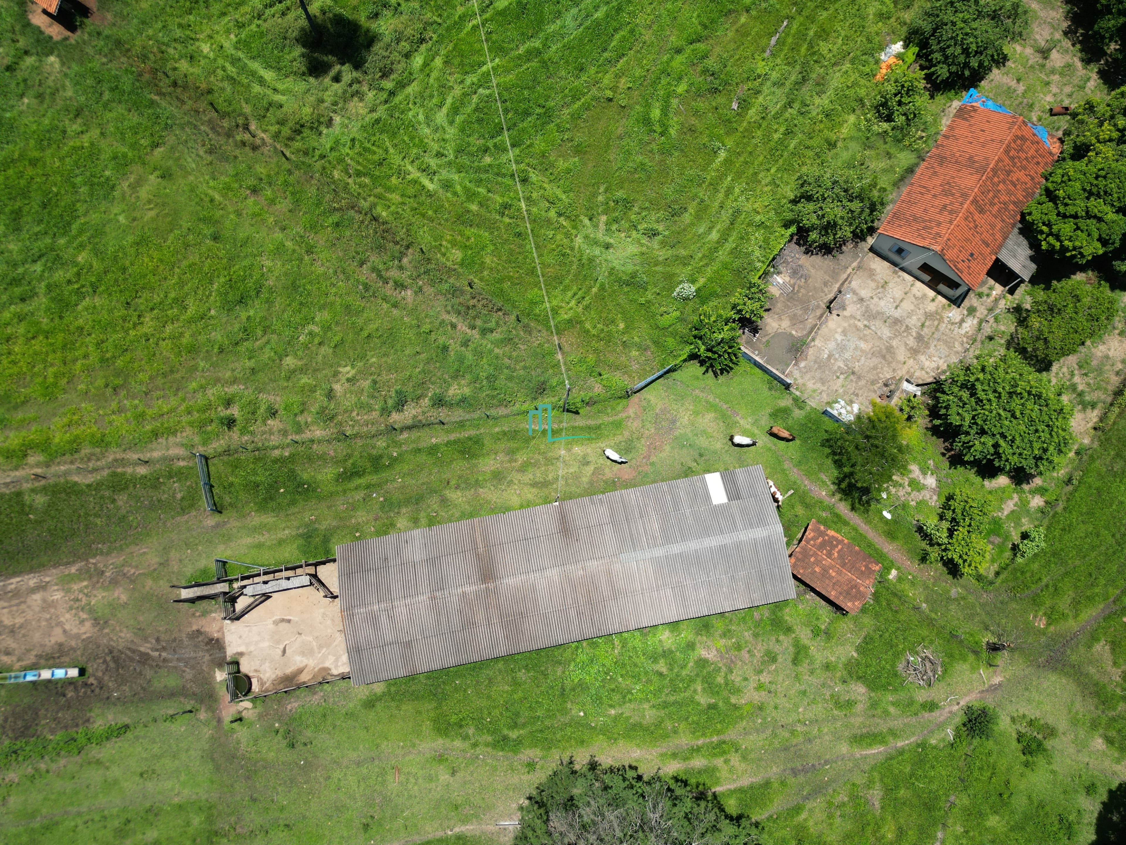 SÍTIO DE 24,99 ALQUEIRES (60,49 hectares) em RIFAINA/SP COM ESTRUTURA COMPLETA, 03 CASAS SIMPLES, E MUITA ÁGUA..   - 8 q
