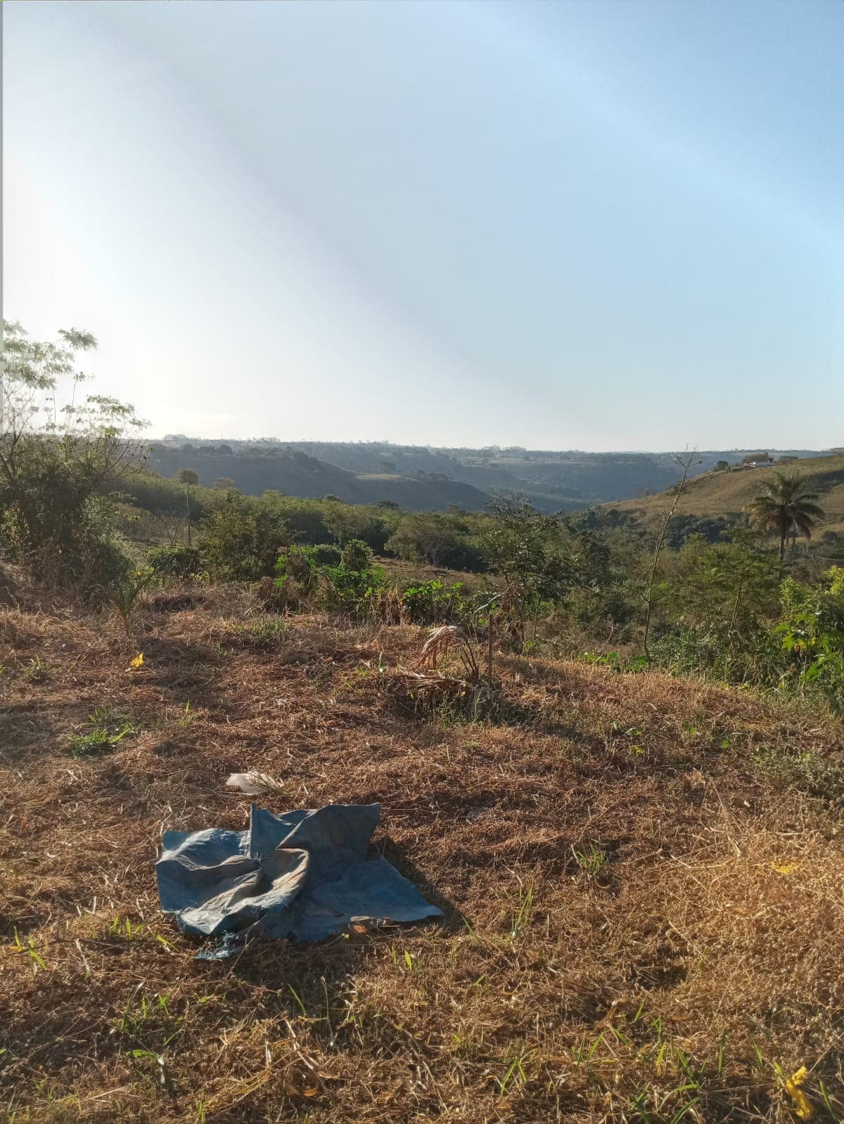 Chácara - JARDIM PAULISTANO - FRANCA CH00061